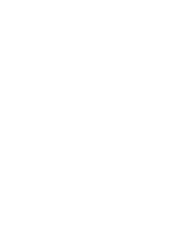 Icon Shape